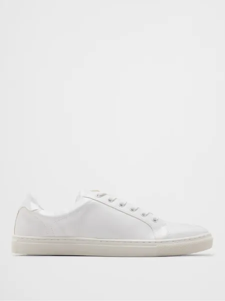 Clean White Sneakers